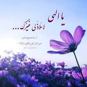 ☆꧁Fatemeh Ghotbinejad꧂☆