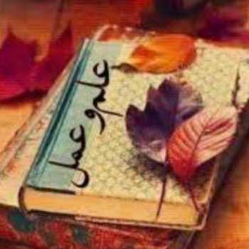 تلفیق علم و عمل۴