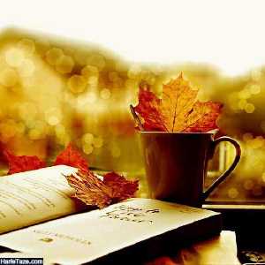 فاطمه گودرزی