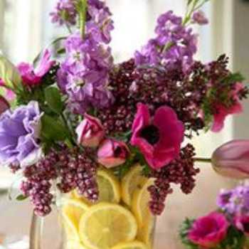 گردش مواد:  دریچه ها و صداهای قلب