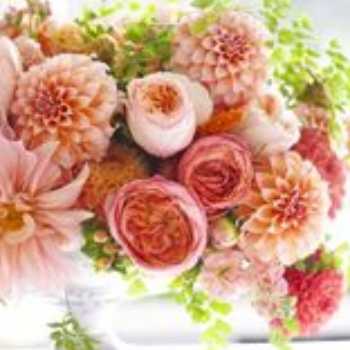 گردش مواد: دریچه ها ی قلب...