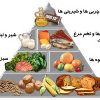 گروه های مواد غذایی