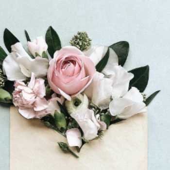 پایه سوم،سوره انعام،