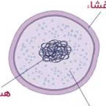 حل کردن سوال 1 تا 11جزوه بدن ما علوم و فعالیت درس سلول 