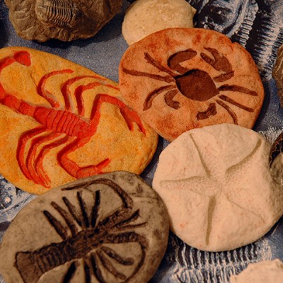  برگی ازتاریخ زمین