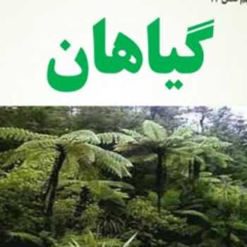 علوم. گیاهان . اشرفیان