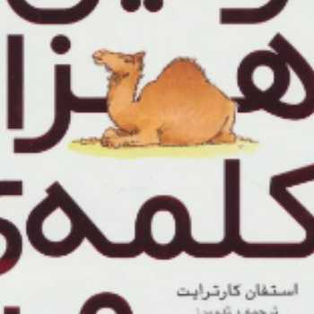 فعالیت کلمه 
