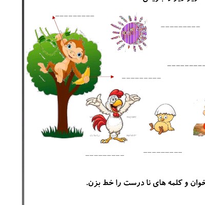 فعالیت (۱۳اردیبهشت)