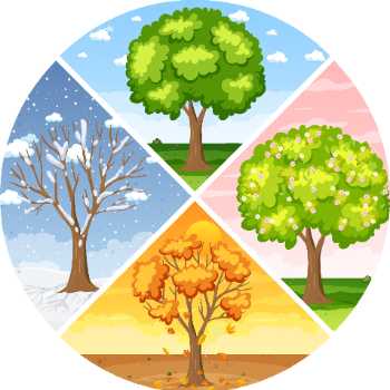 انگلیسی دومی ها ( sesons )