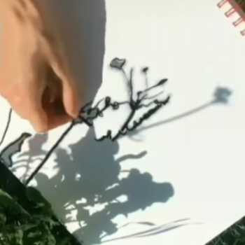 بازی سایه ها