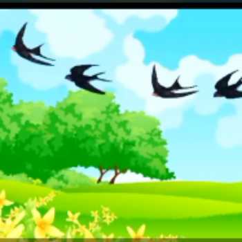 شگفتی های آفرینش ( 4 )