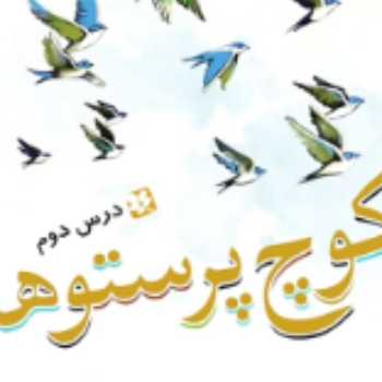 تلفیق شگفتی های آفرینش ۵