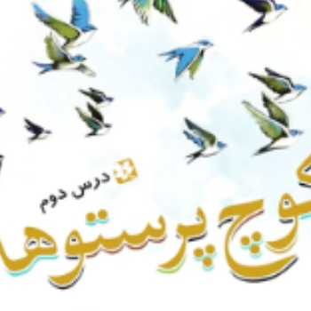 شگفتی های افرینش  ( ۵ )