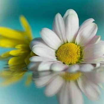 پیام های آسمان پایه هشتم