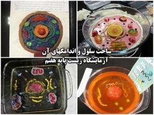 ساخت سلول