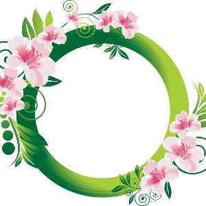 اشپزی