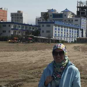 آیلین طوسی