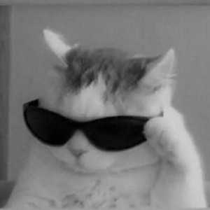 سارا حسن نژاد