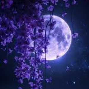 سارا صمدی میرک آباد