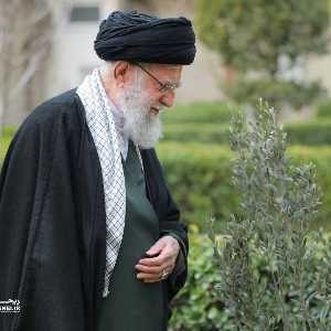 شهید سید علی حسینی خامنه ای