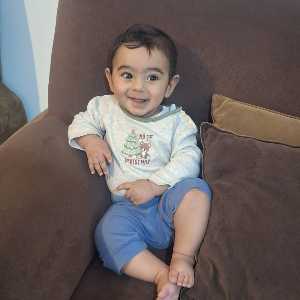 مهنا راستگار شیشه گرخانه