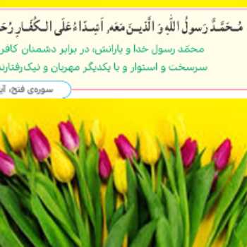 شتربان با ایمان