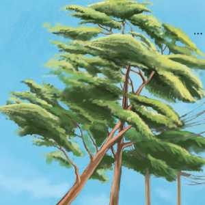 تلفیق گروه 1